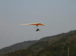 元hori機