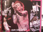 dir en grey