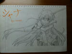 SH3J0226.jpg