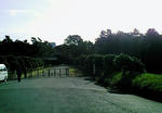 NEC_0389.JPG