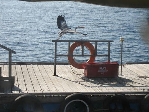 IMG_4108.jpg