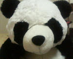 P1000013.JPG