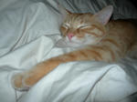 DSCN1160.JPG