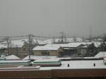 DSCN1316.JPG