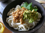DSCN1542.JPG