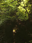 DSCF6213.JPG