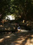 DSCF6215.JPG