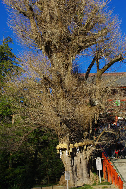 IMGP0582.jpg