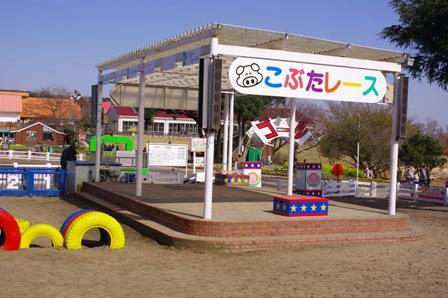 IMGP3040.JPG