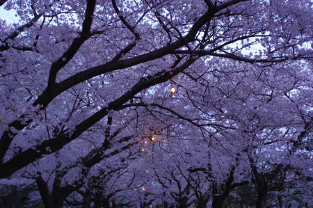 IMGP3112.jpg