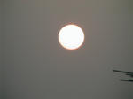 9a206328.jpg