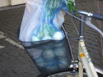 9ea84212.jpg