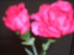 d2bc6f5e.jpg