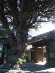 0192c025.jpg