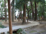 c3ed834a.jpg