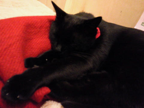 200912261610003.jpg