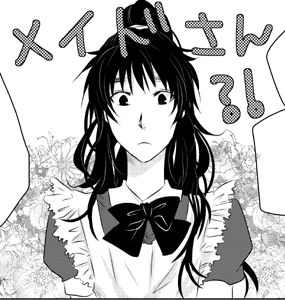 meidohon0003.gif