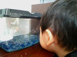 20071001153502.jpg