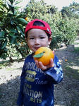 F1000063.jpg