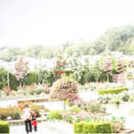 blog005.jpg