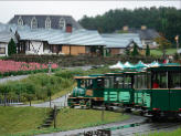 DSC05328-1.jpg