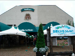 DSC05347-1.jpg