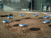 DSC04660-1.jpg