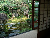 DSC04676-1.jpg