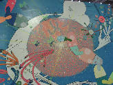 DSC05428-1.jpg