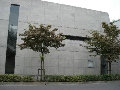 DSC05582-1.jpg