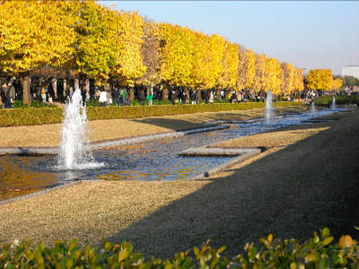R0010162-1.jpg