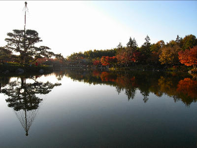 R0010210-1.jpg