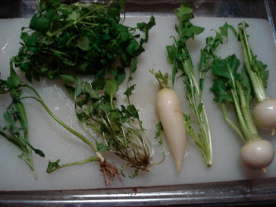 DSC06860-1.jpg