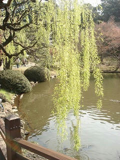 DSC07344.jpg