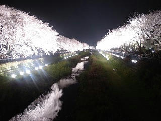DSC07409.jpg