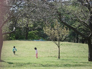 DSC07543.jpg