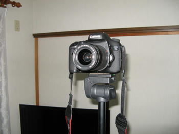 IMG_7213.JPG