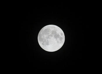 IMG_1001.JPG