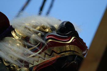 IMG_9952.JPG