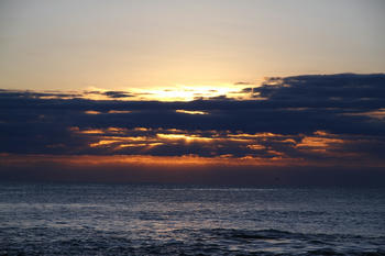 IMG_1223.JPG