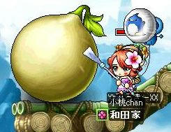 魔法の種