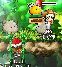 何故に・・・・・・・