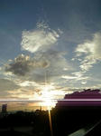 NEC_0019.JPG