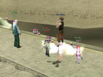 bi_20100304044953.jpg