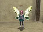 bi_20110110235544.jpg
