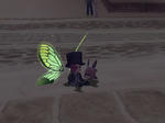 bi_20110315015322.jpg