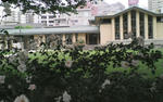 senka30d.jpg