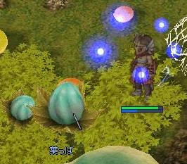 イグ実1か所目