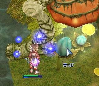 イグ実3か所目