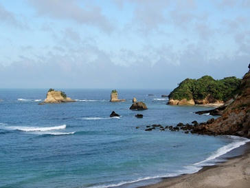 東海岸